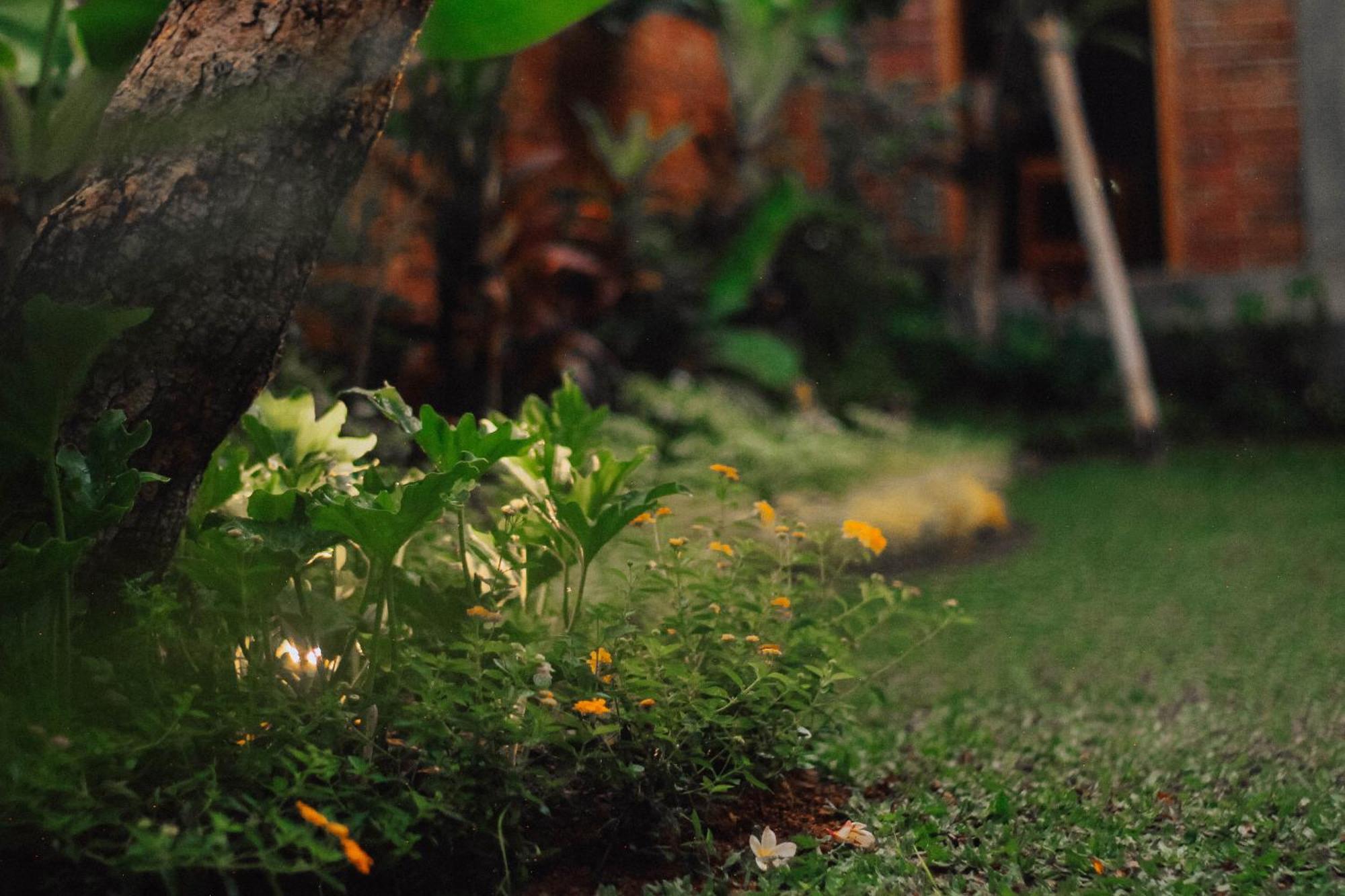 Govardan Home Stay Canggu  Ngoại thất bức ảnh